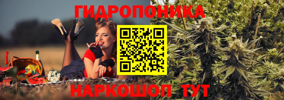 Канабис конопля  Каннабис Amnesia  Сертолово  МАРИХУАНА White Widow  Вход с VPN 